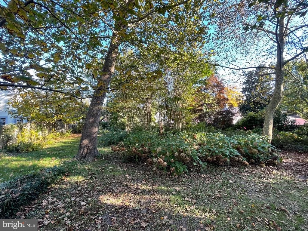 Photo of 109 HAZZARD LANE