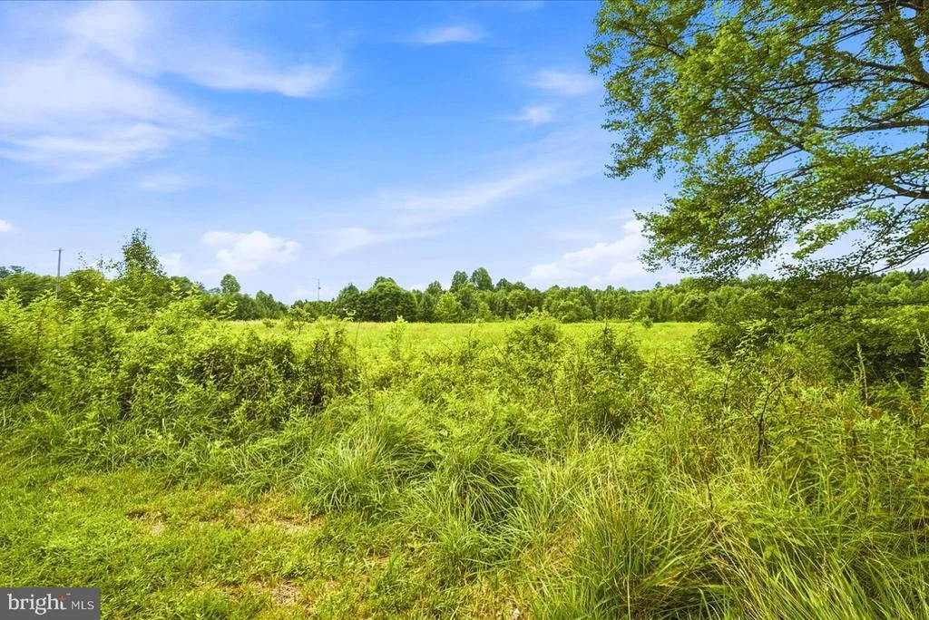 Photo of 5904 MUNCASTER MILL ROAD