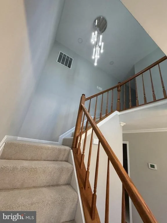 Photo of 6111 RICHMANOR TERRACE