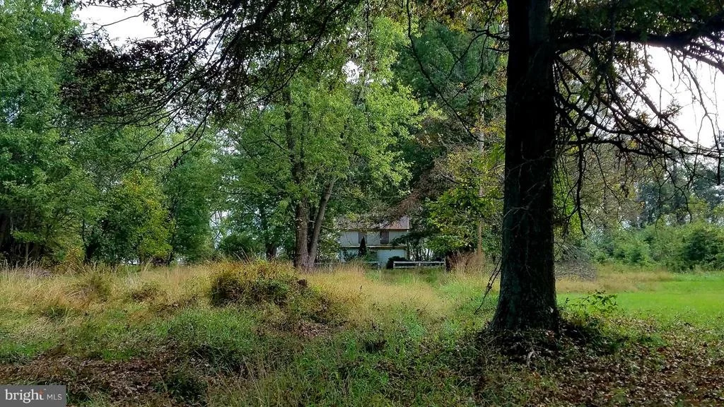 Photo of 22552 SAM FRED ROAD