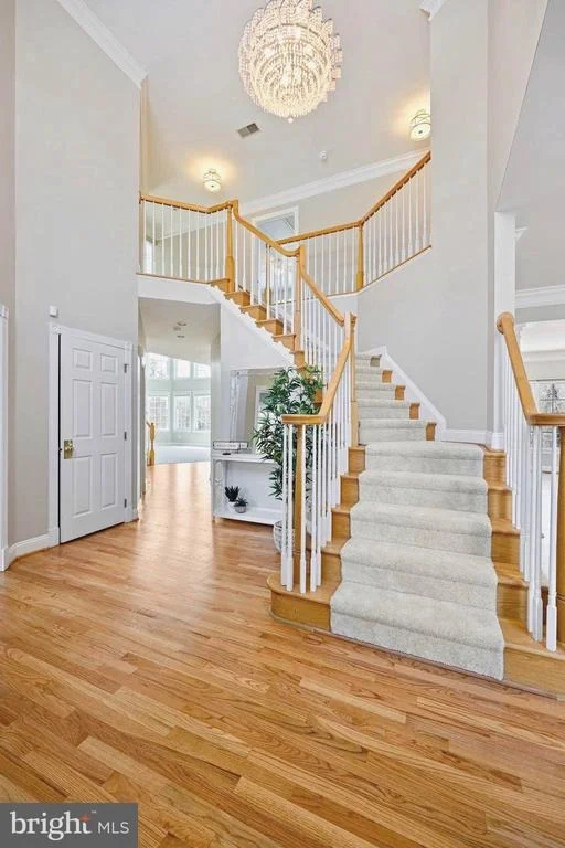 Photo of 10602 BEECHKNOLL LANE