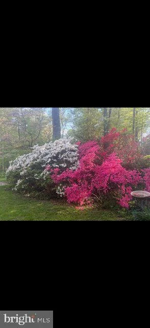Photo of 2213 APPLE TREE LANE