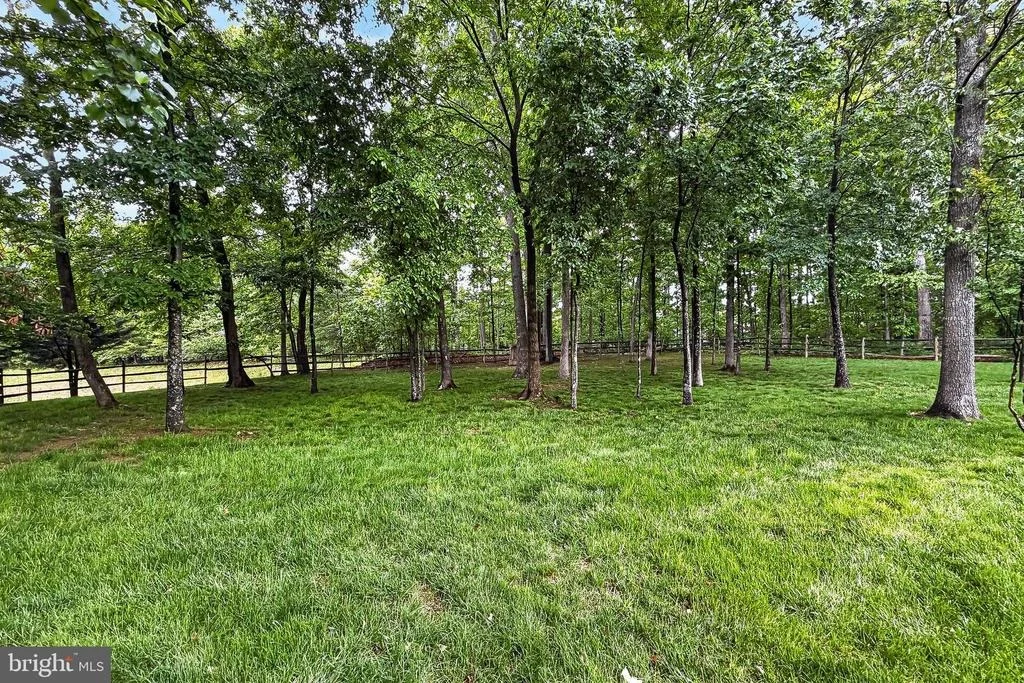Photo of 25825 SPRING FARM CIRCLE