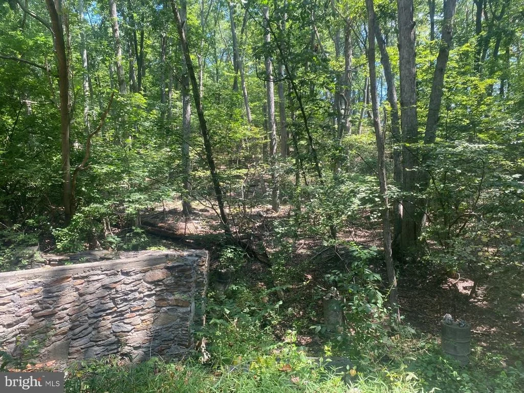 Photo of 7125 EDGEMONT ROAD