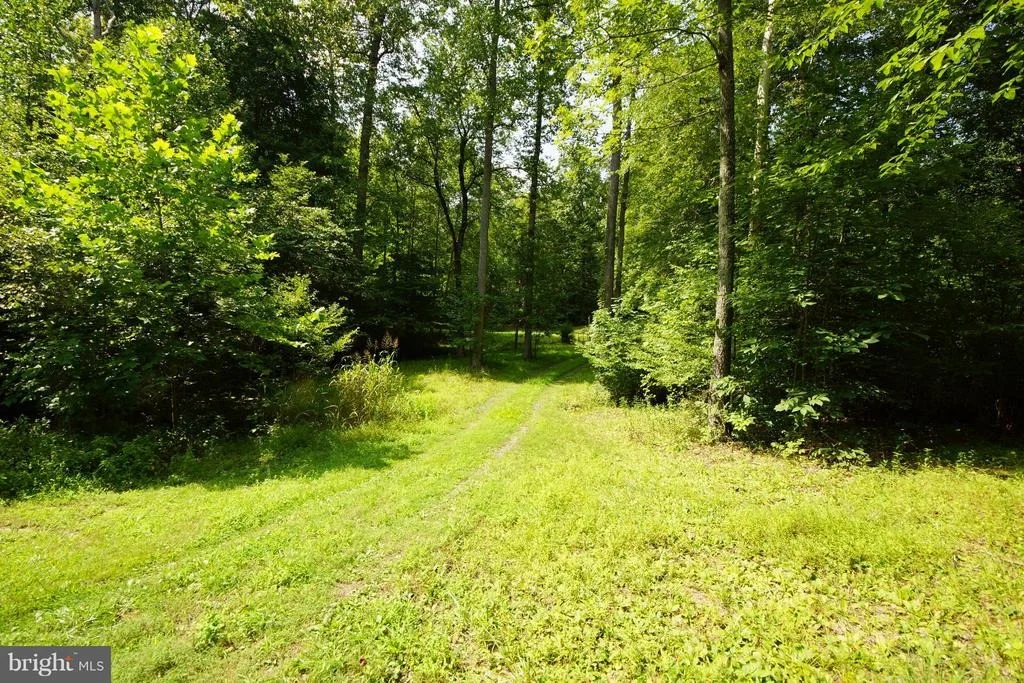 Photo of 251 HAWK CIRCLE