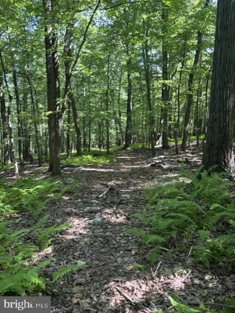 Photo of 7275 BLACK ROAD