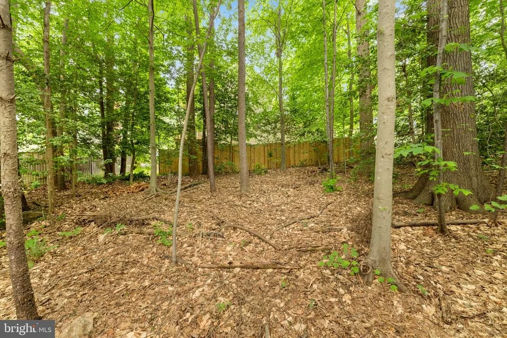 Photo of 9206 NORTHEDGE DRIVE