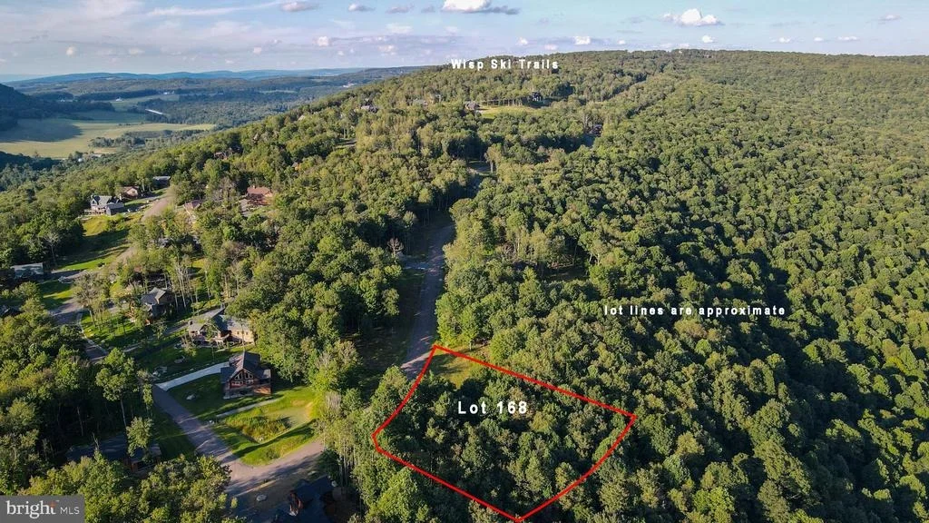 Photo of Lot 168 FORK RUN TRAIL