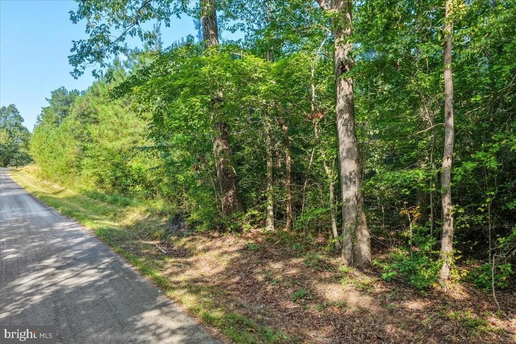 Photo of Lot 7 & 8 COUNTY POND ROAD