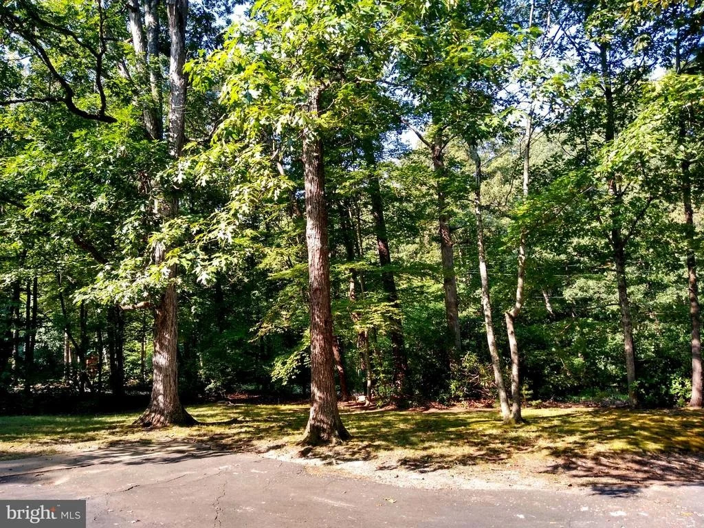 Photo of 12227 LARCH LANE