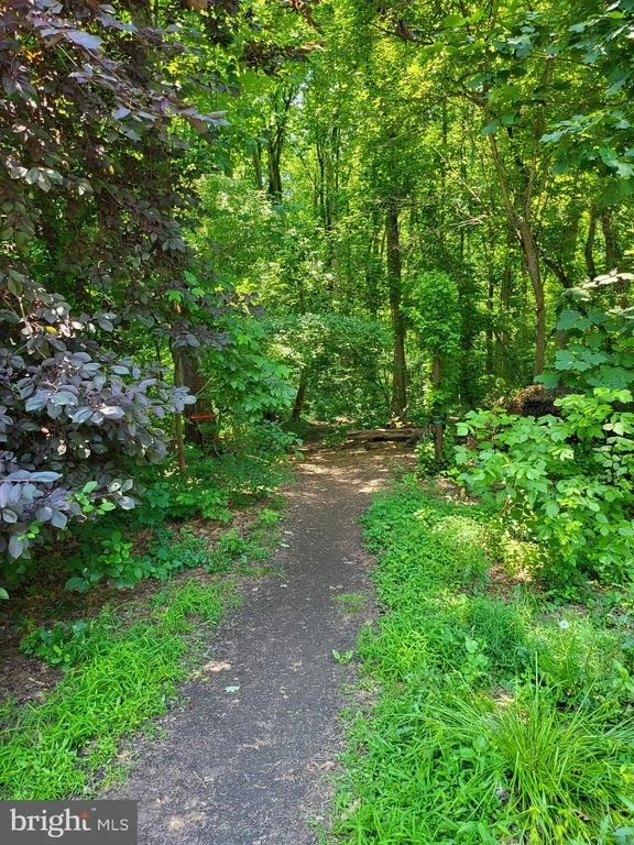 Photo of 11213 DEWEY ROAD
