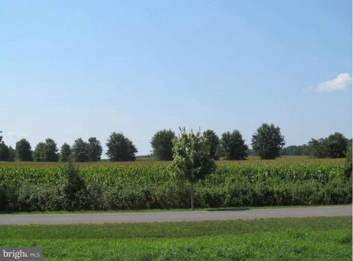 Photo of 308 JOHN PATRICK DRIVE