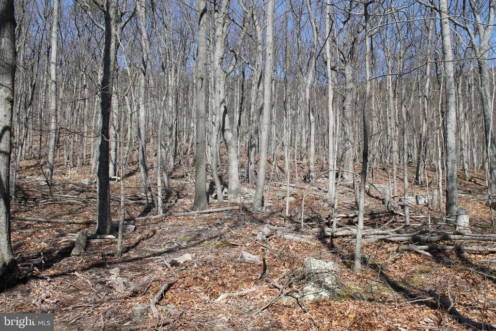 Photo of 288 FOX RUN LANE