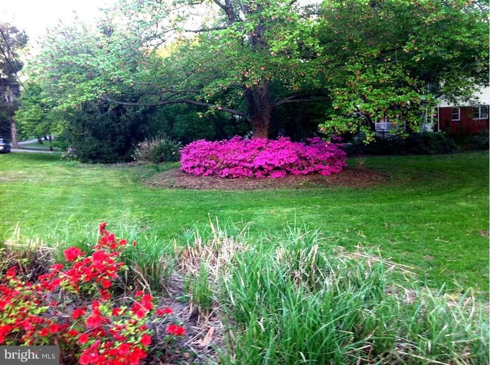 Photo of 12231 SHAFER LANE