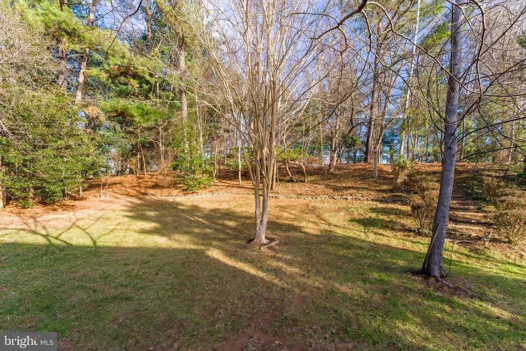 Photo of 10332 DUNN MEADOW ROAD