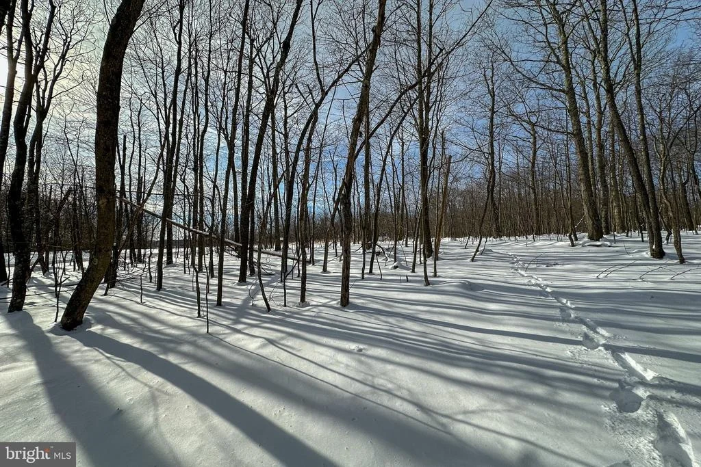 Photo of Lot 100 SNOWHAVEN LANE