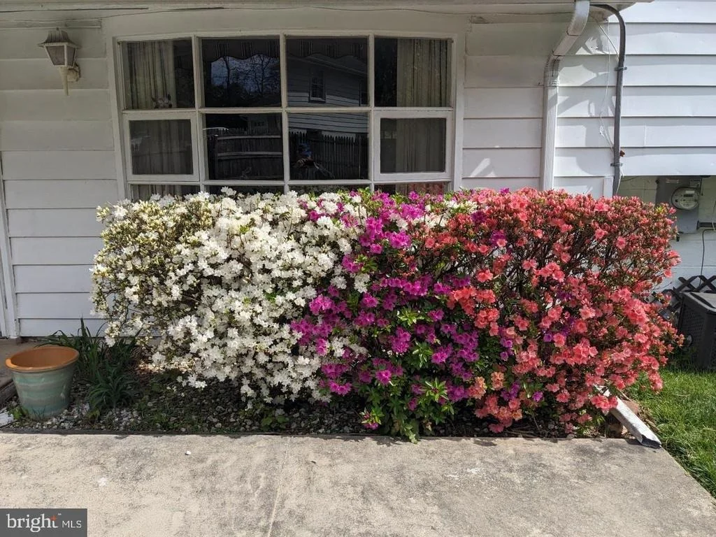Photo of 16011 JERALD ROAD