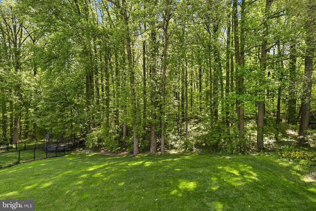 Photo of 10891 BEECH CREEK DRIVE