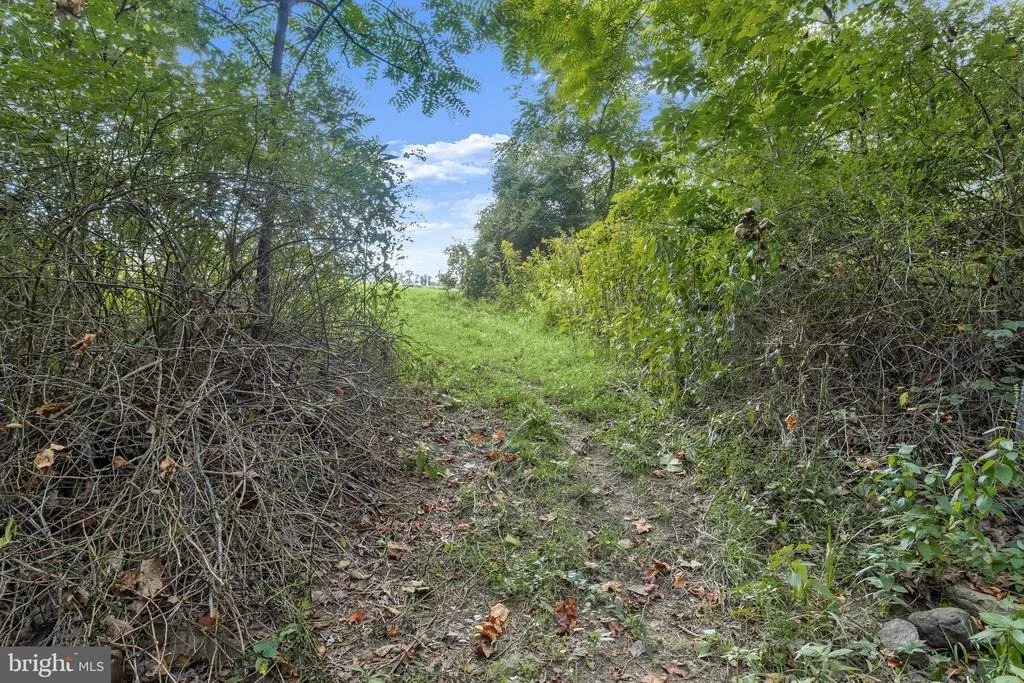 Photo of 11284 BIG POOL ROAD