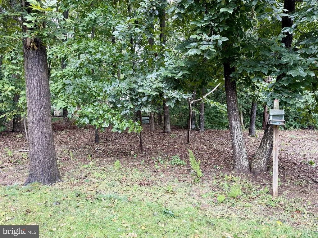 Photo of 34047 BIRCH DRIVE