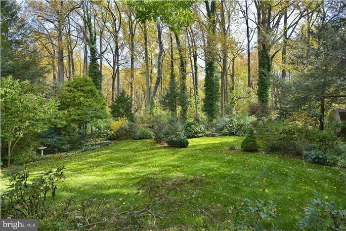 Photo of 17709 TREE LAWN DRIVE