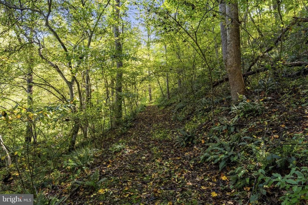 Photo of 207 GRAND VIEW ROAD