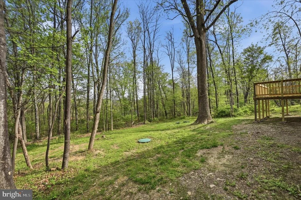 Photo of 105 BUCKSKIN TRAIL