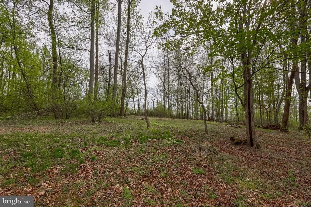 Photo of 171 FOX HOLLOW ROAD
