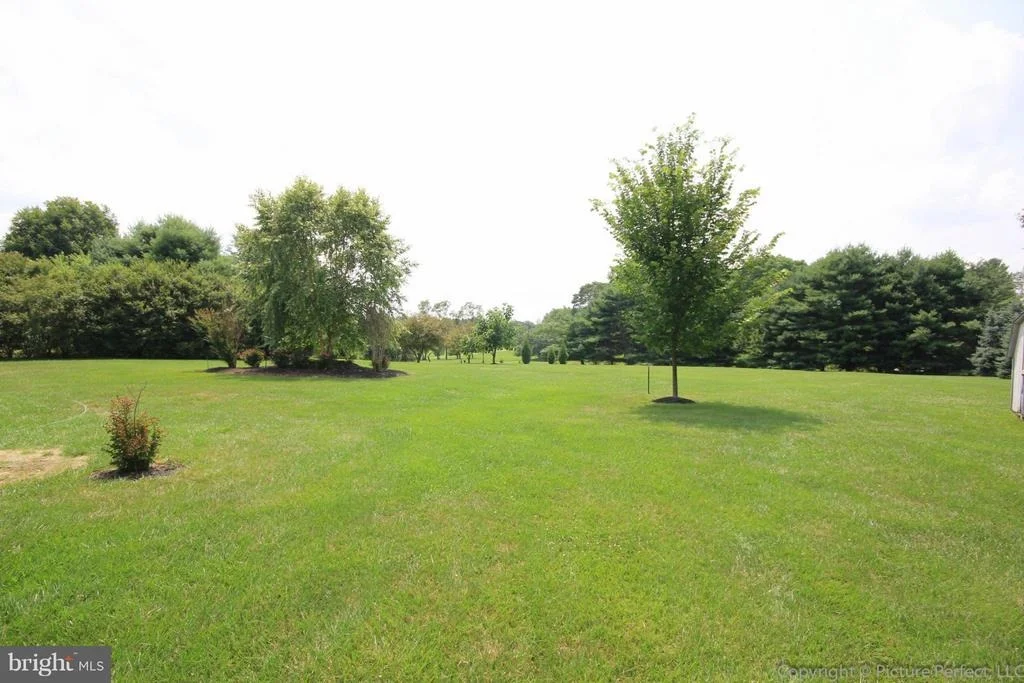 Photo of 5728 ARTESIAN DRIVE
