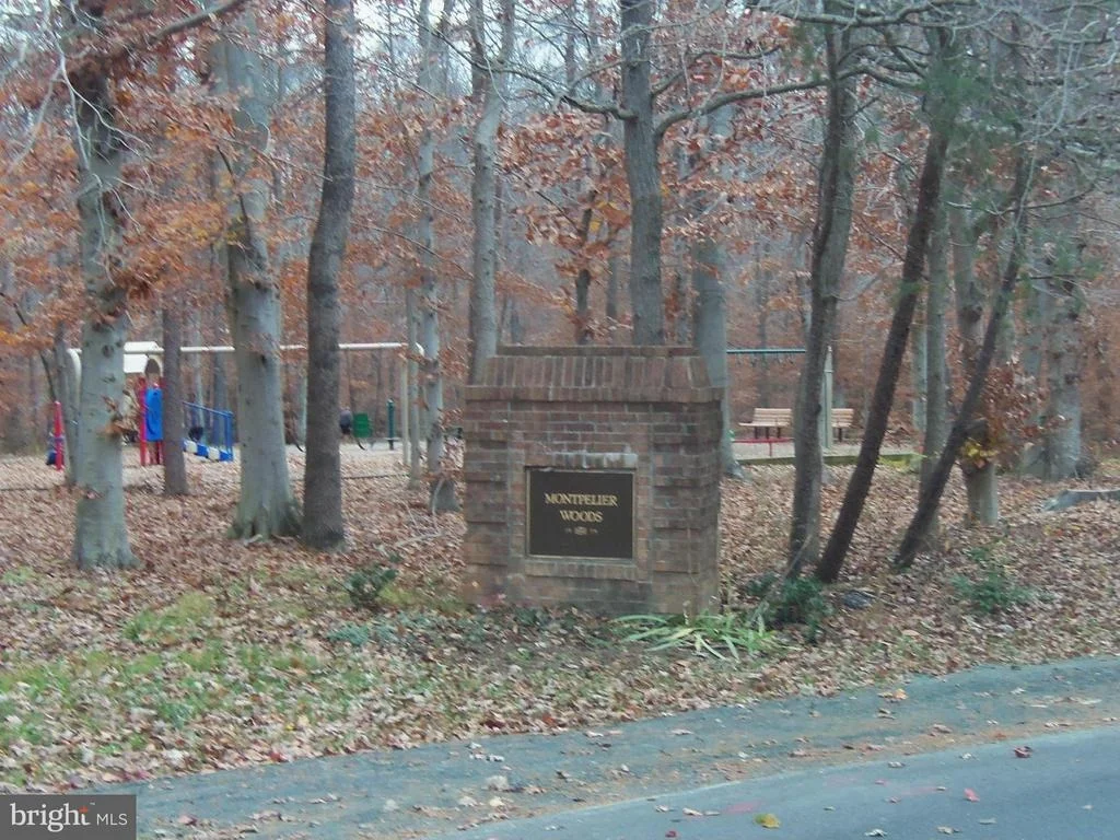 Photo of 10304 SNOWDEN ROAD