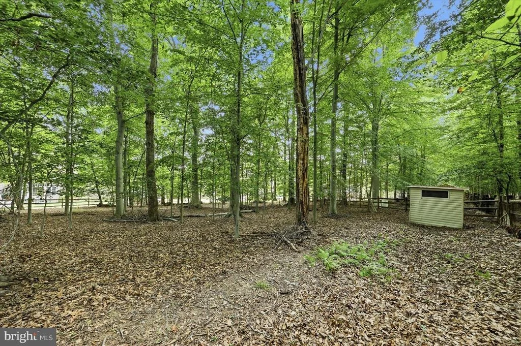 Photo of 6440 SPRING FOREST ROAD