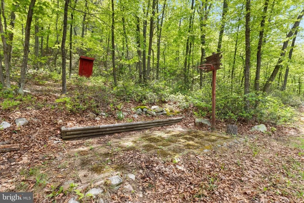 Photo of 551 SAWLOG