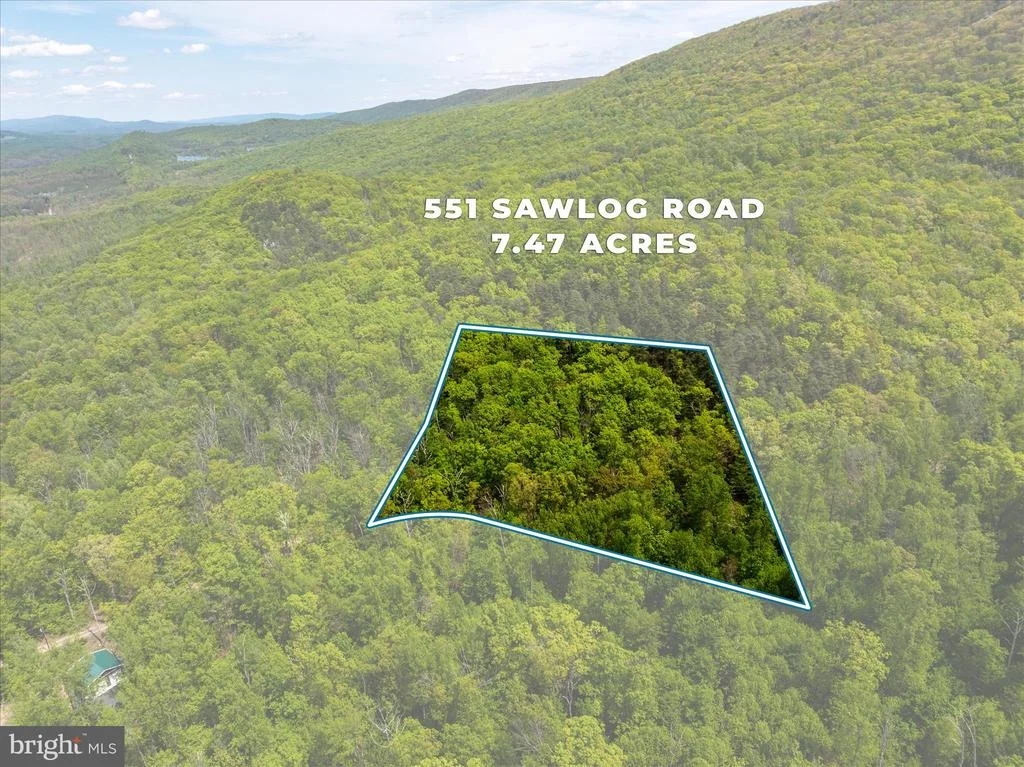Photo of 551 SAWLOG