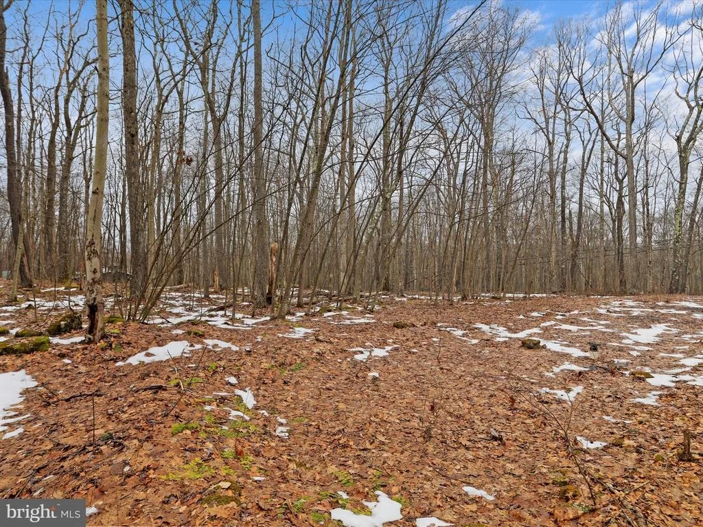 Photo of 4 N RIDGE ROAD