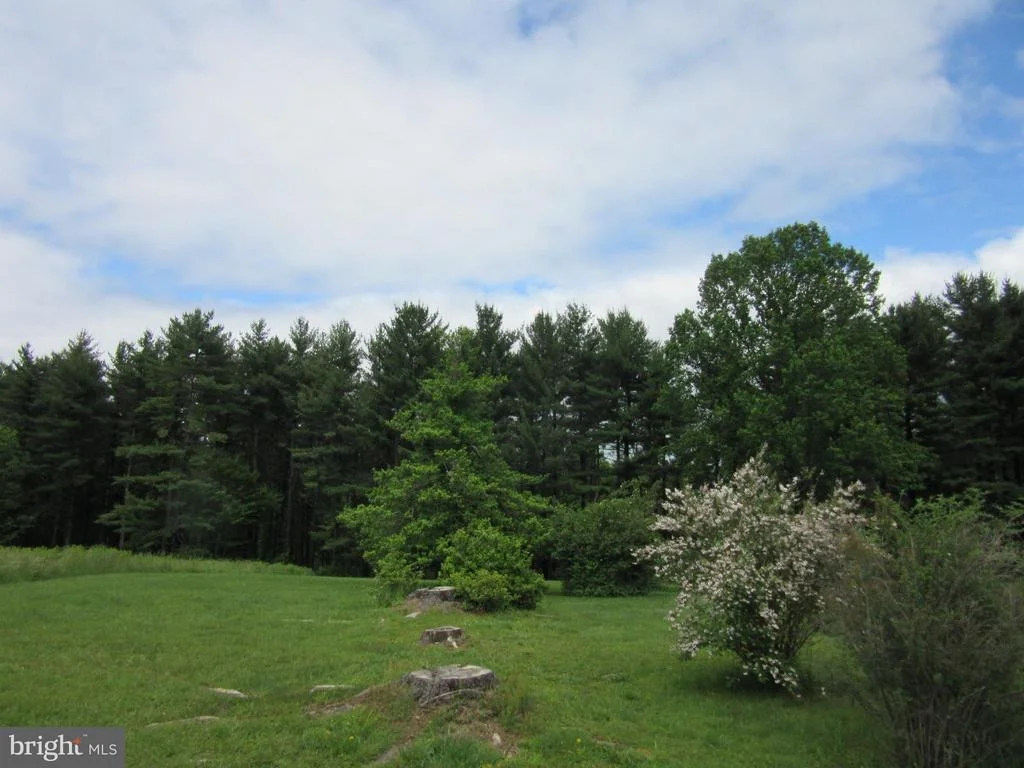 Photo of 