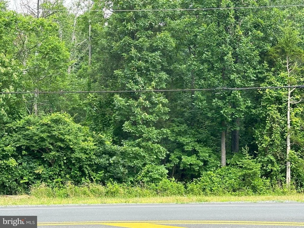 Photo of 7503 JAMES MADISON HIGHWAY