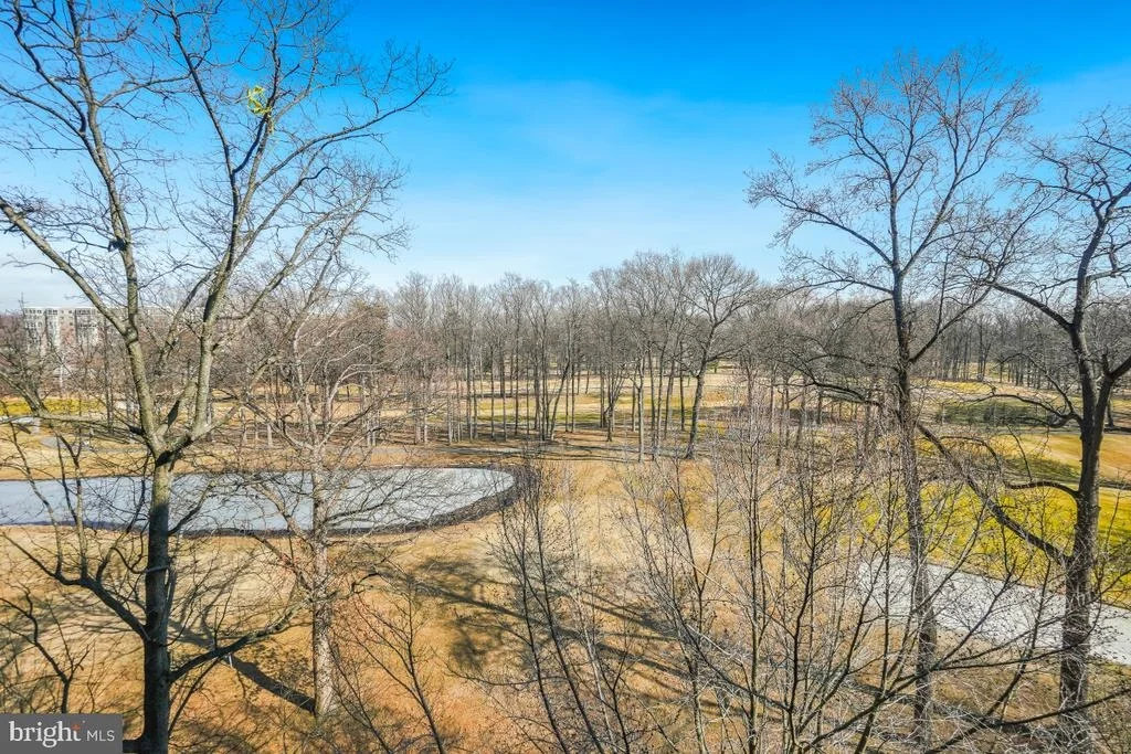 Photo of Unit 2716 at 15107 INTERLACHEN DRIVE