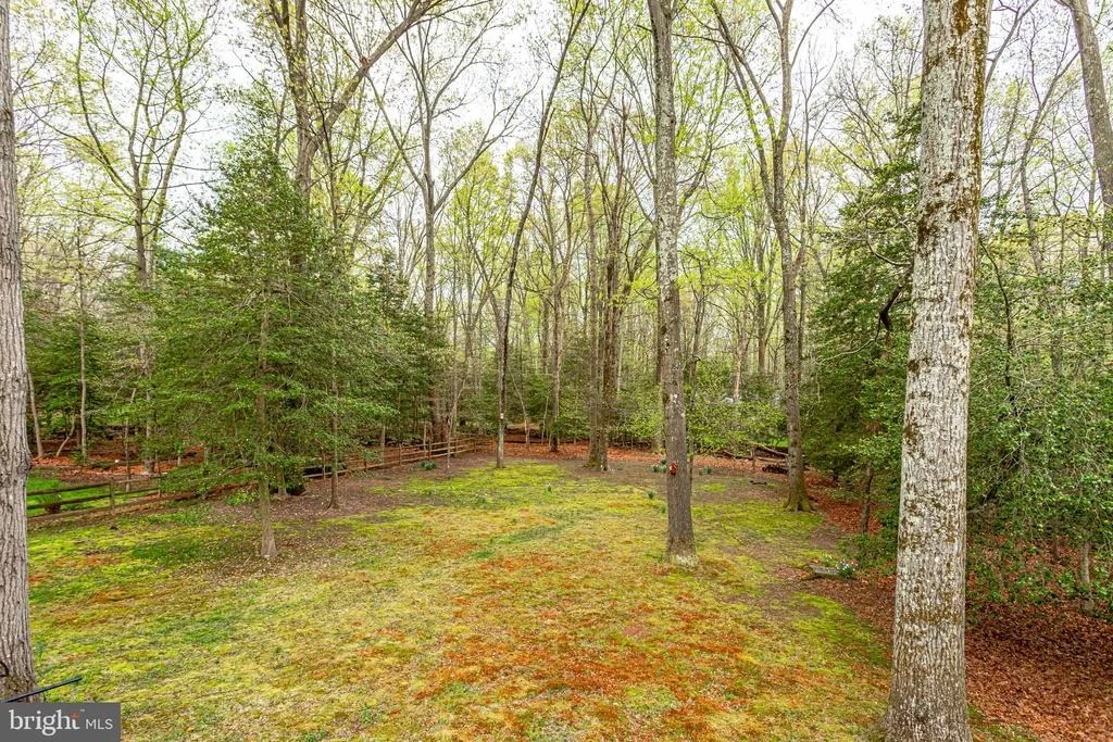 Photo of 11605 CLIPSTONE LANE