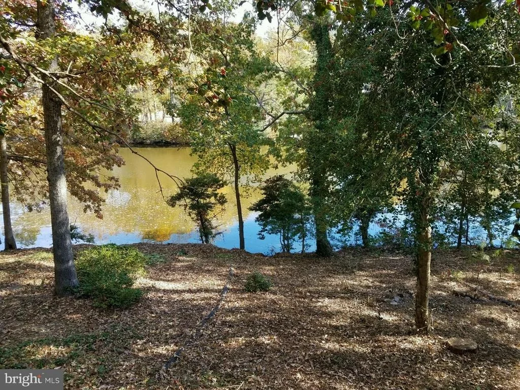 Photo of 13158 RIVER VIEW DRIVE