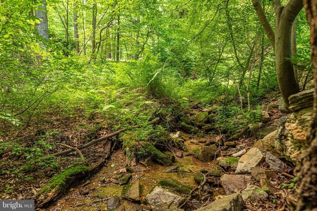 Photo of 5309 CAMP RAUDY ROAD