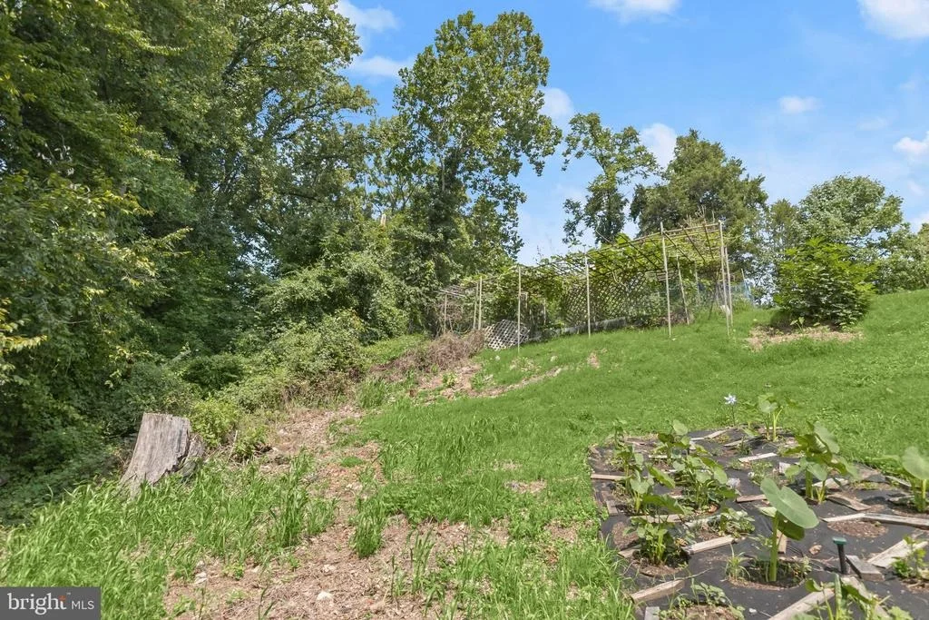 Photo of 6354 FOREST AVENUE
