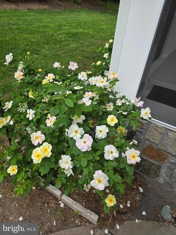 Photo of 2304 HIDDEN VALLEY LANE