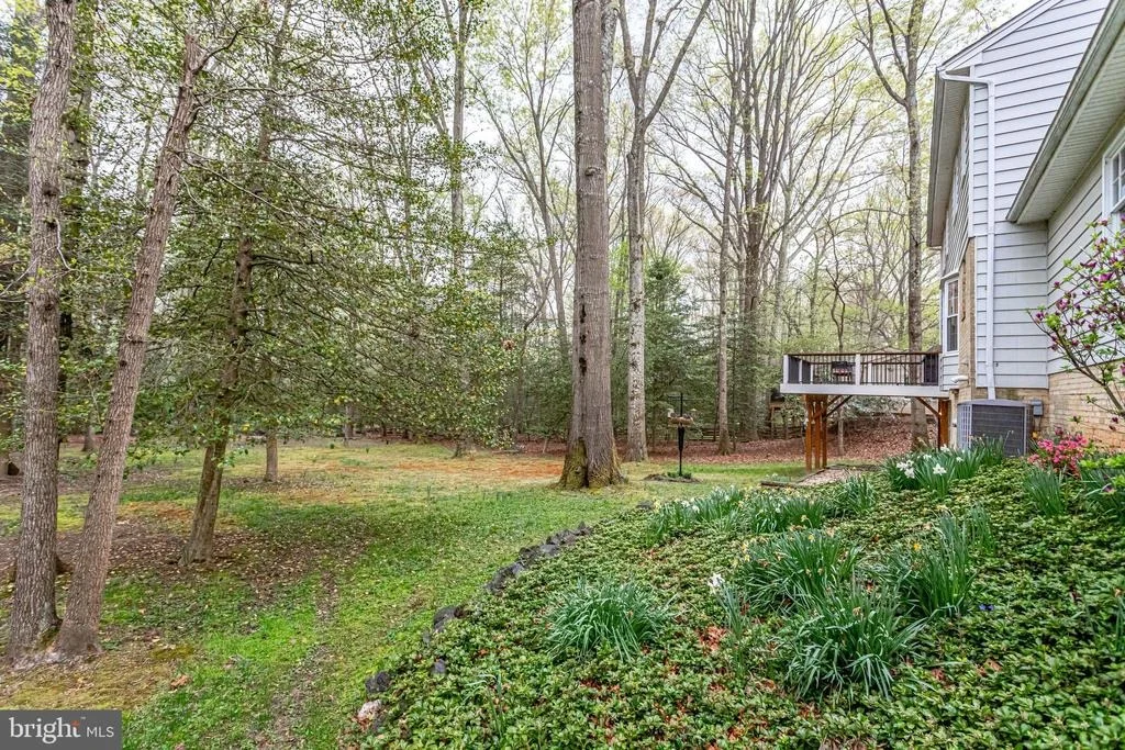 Photo of 11605 CLIPSTONE LANE