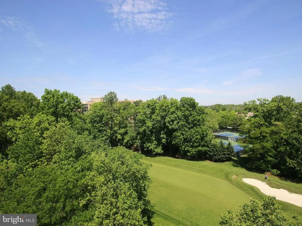 Photo of Unit 41012 at 15100 INTERLACHEN DRIVE