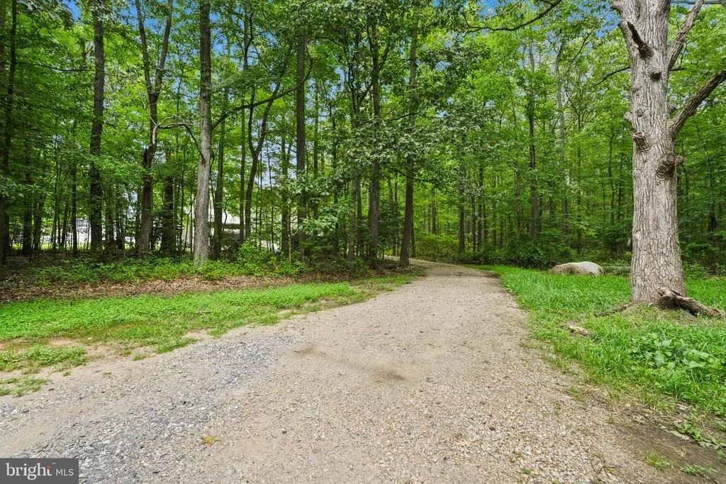 Photo of 4924 KELLAM ROAD