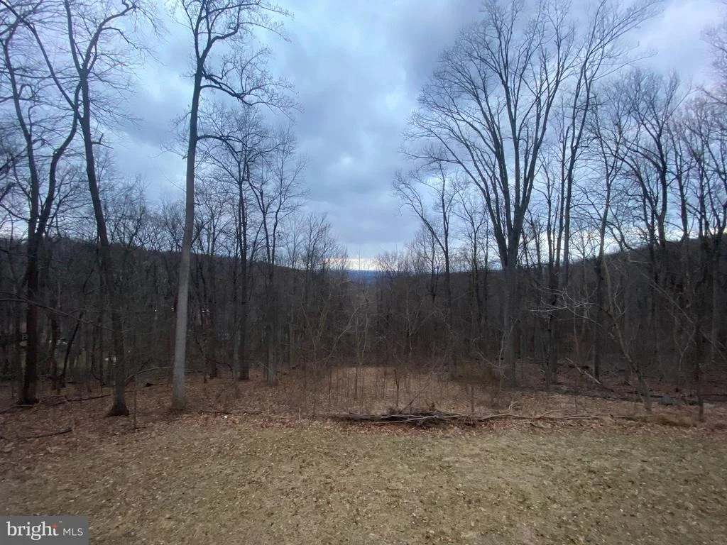 Photo of 397 PARKSIDE ROAD