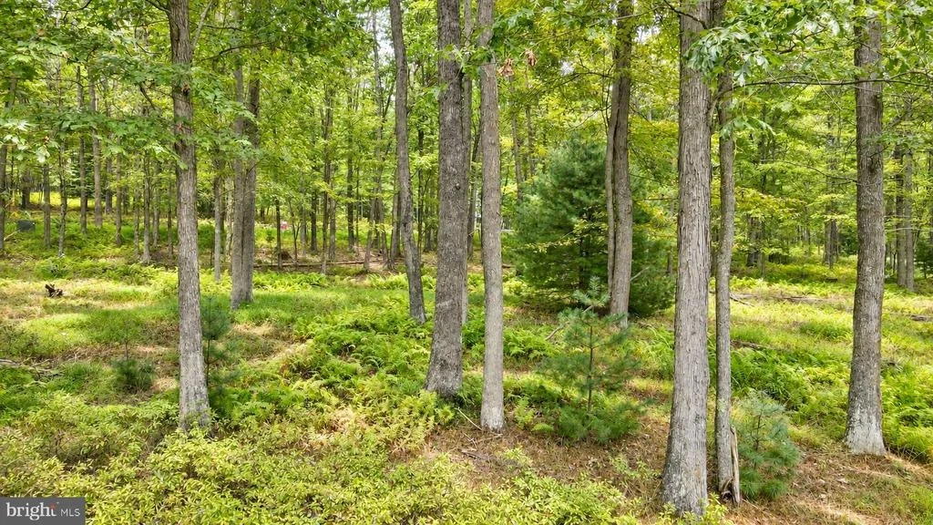 Photo of Lot 12 POLAND HEIGHTS LANE