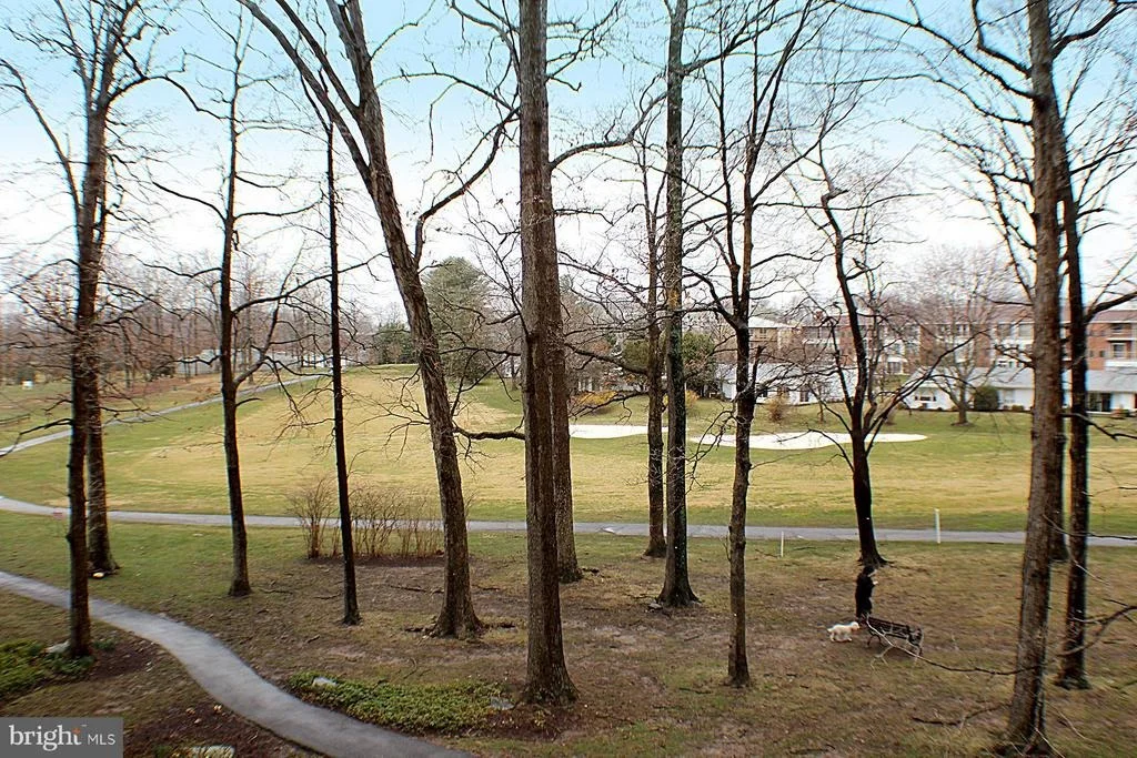 Photo of Unit 1218 at 15101 INTERLACHEN DRIVE
