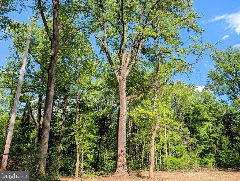 Photo of 3964 HIDDEN VALLEY LANE