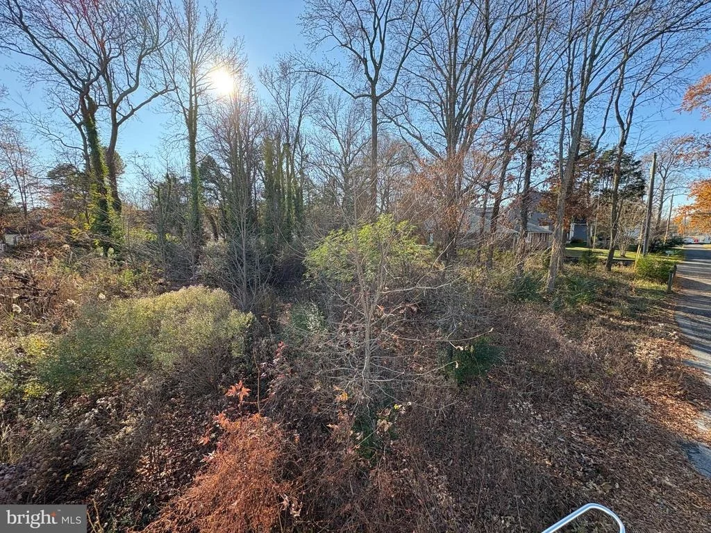 Photo of 1055 OLD TURKEY POINT ROAD